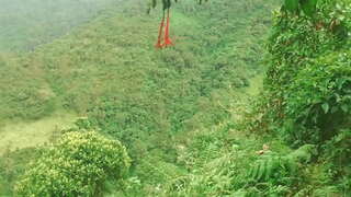 Colombianas en el Bosque Se Dan Lengua y Follan con Extra&amp;ntilde;os Sexo A Cambio De Ayuda Economica.