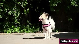 Petite tatouage amatè jwenn l &#039; chen vwazen li yo pwopriyete.Frè parèy li, ki vle yon rekonpans yo,yo retire rad sou yo epi li lè sa a, gòj vwazen fanm / femèl amatè gwo.Nan retounen nan frè parèy li bèz pussy li ak bourik gwo twou san fon epi yo ka difisil jiskaske li difisil sou li.