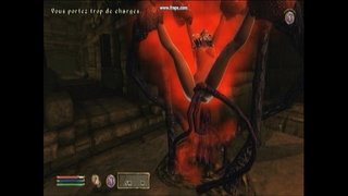 щупальце торикӣ.Ави